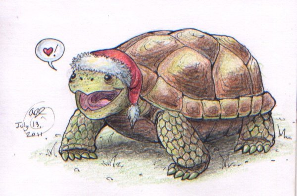 Рисунки черепахи для срисовки