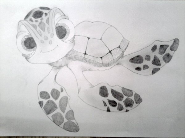 Черепаха рисунок легкий милый