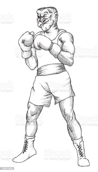 Боксер рисунок
