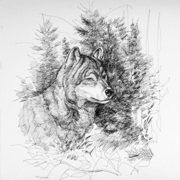 Рисунки черным карандашом