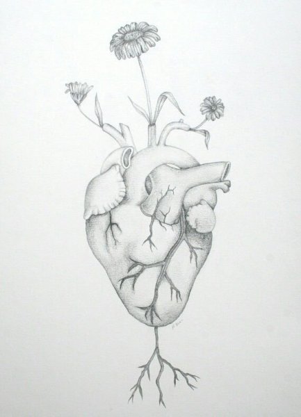 Рисунки для срисовки для детей