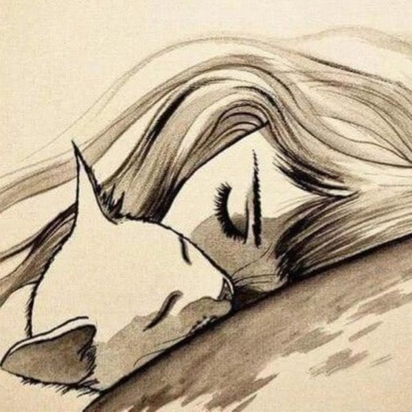 Рисунки карандашом