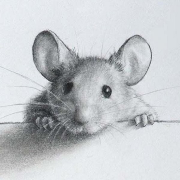 Набросок мыши