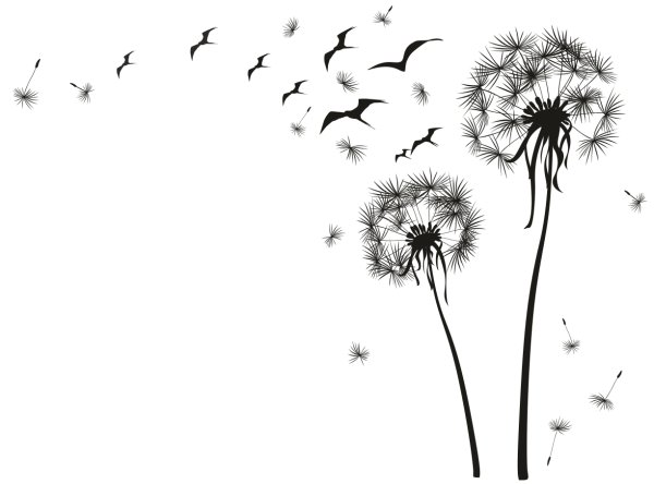 Одуванчик узор