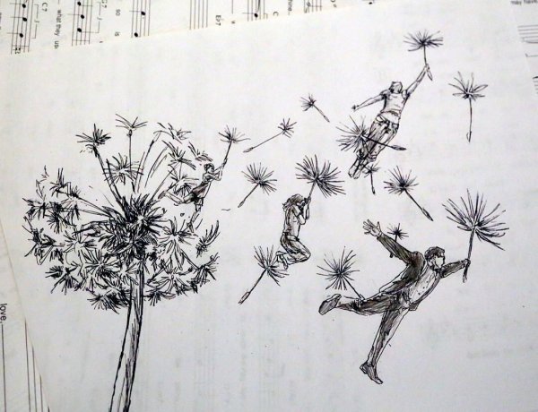 Одуванчик карандашом