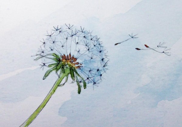 Одуванчик тату эскизы