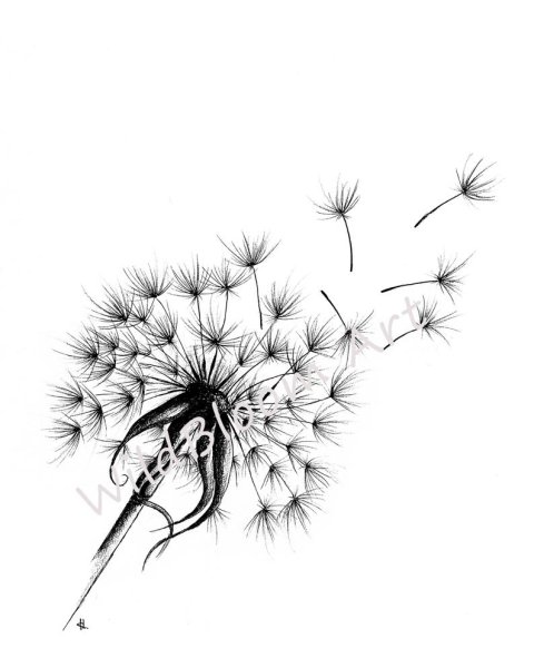 Нарисовать одуванчик