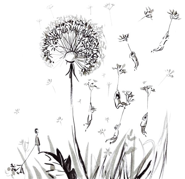 Одуванчик рисунок карандашом