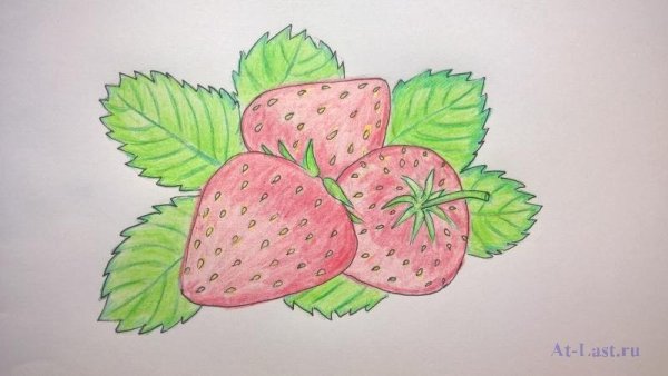 Пошаговое рисование земляники