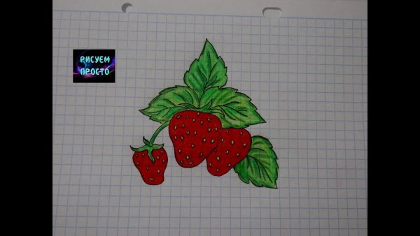 Клубника рисунок легко