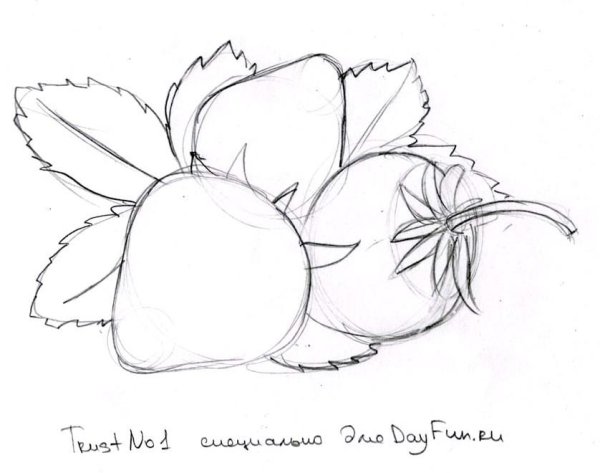 Клубника рисунок карандашом