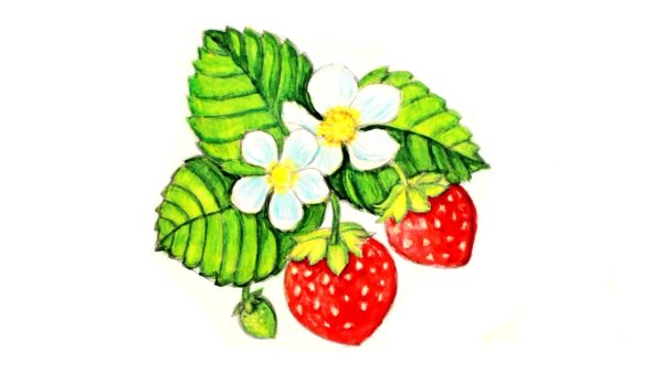 Рисование для детей клубника