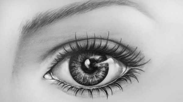 Красивый глаз карандашом