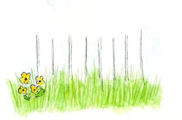 Газон карандашом