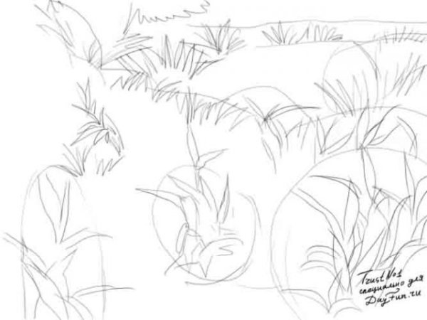 Поэтапное рисование травы