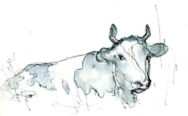 Корова рисунок карандашом для детей