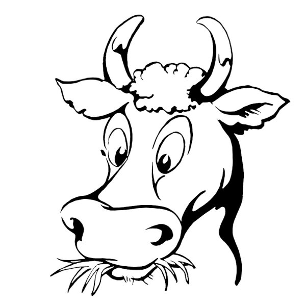 Морда быка тату