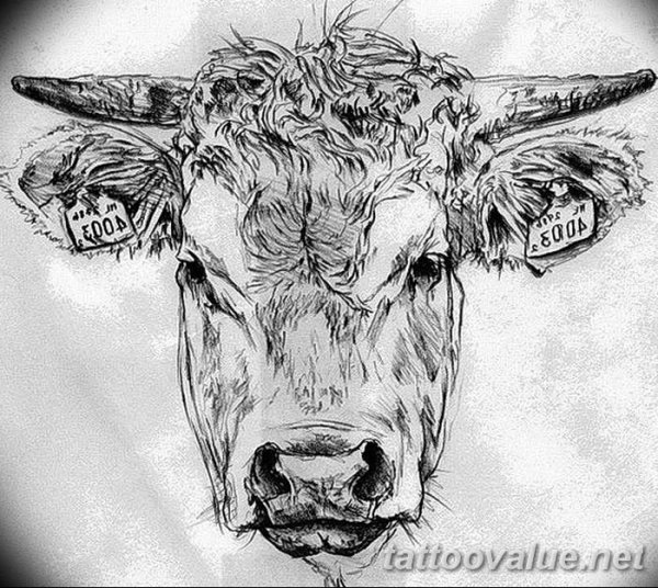 Мордочка коровы с цветами