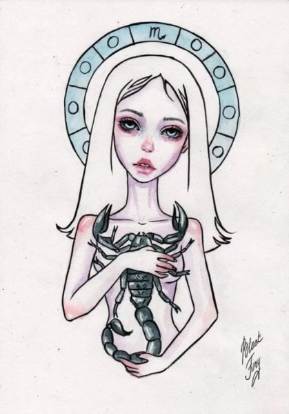 Рисунки Блэк фури знаки зодиака