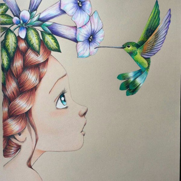 Колибри рисунок карандашом цветной