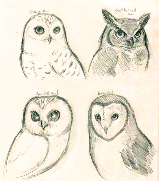 Как нарисовать сову