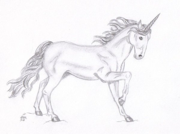 Единорог рисунок карандашом