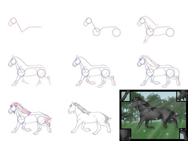 Поэтапный рисунок лошади