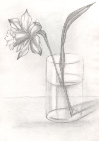 Рисунок вазы с цветами