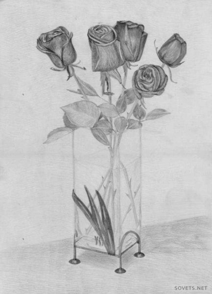 Натюрморт ваза с цветами карандашом