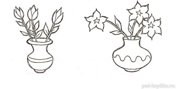 Раскраска тюльпаны в вазе