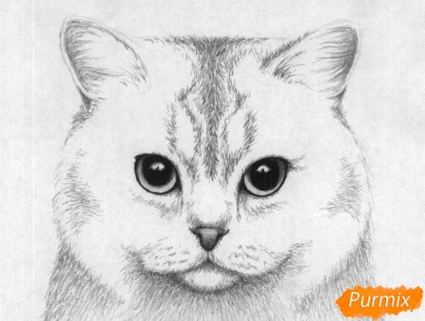 Рисунки для срисовки лёгкие