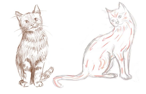 Лёгкий рисунок котёнка для срисовки