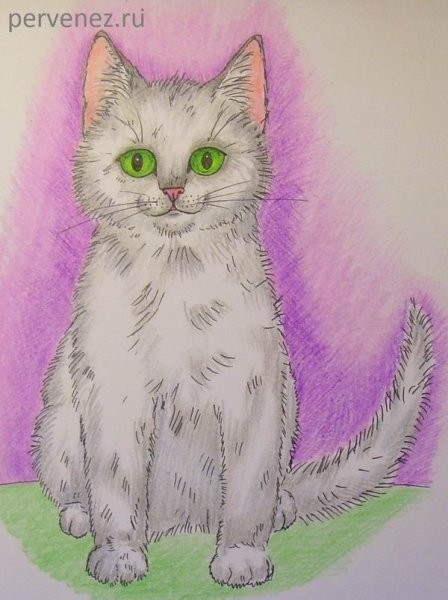 Котики для рисования легко