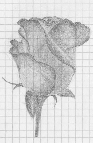 Темы для рисования карандашом