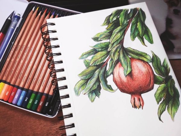 Рисунки цветными карандашами