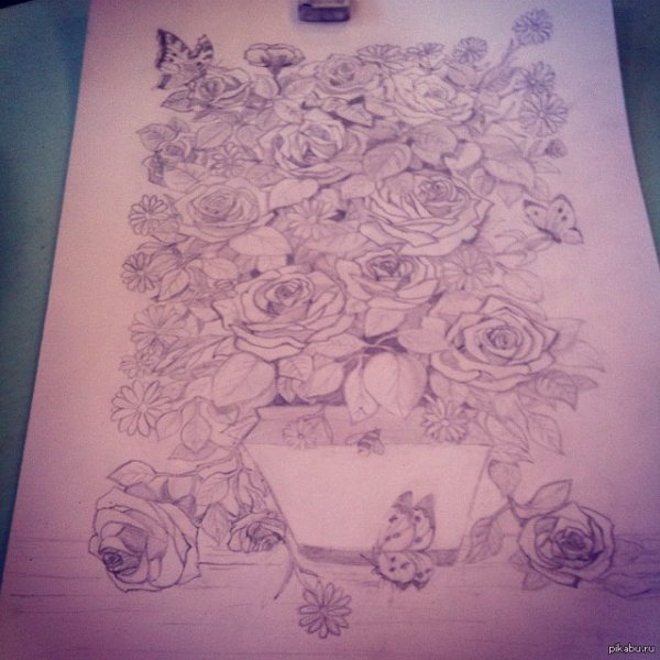 Рисунки на ватмане карандашом