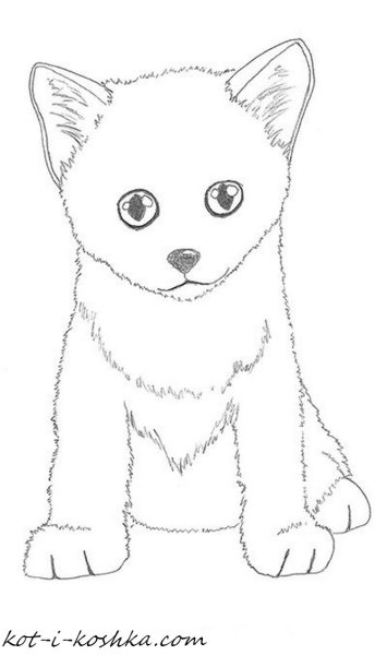Лёгкий рисунок котёнка для срисовки