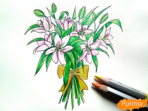 Букет лилий цветными карандашами