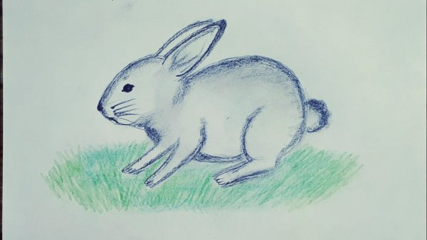 Кролик цветными карандашами
