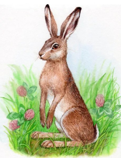 Легкие рисунки для срисовки