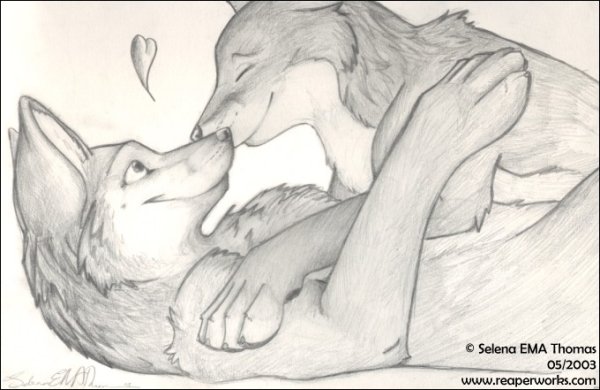 Любовь животных карандашом