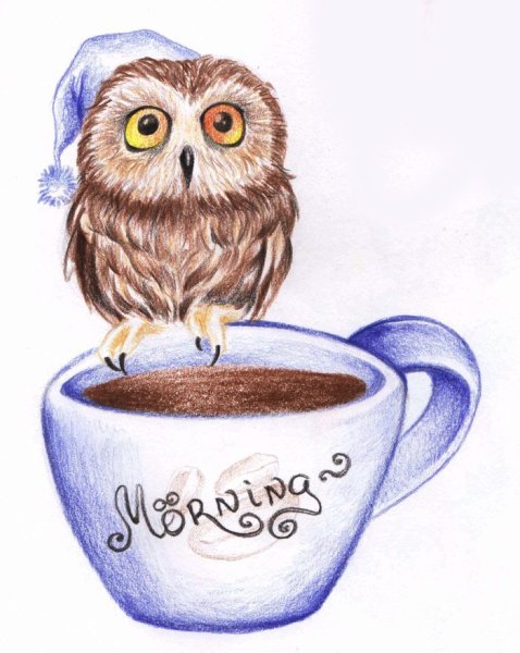 Доброе утро Совенок