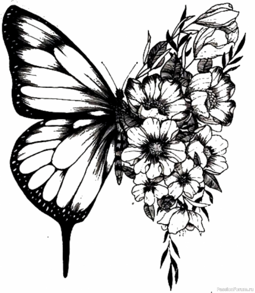 Бабочка на цветке карандашом