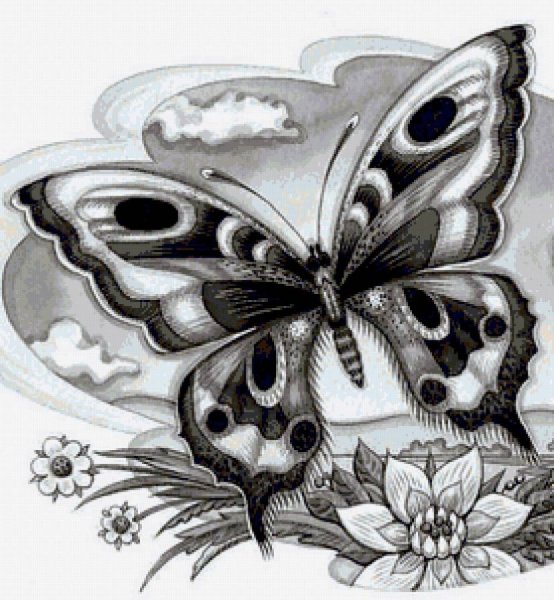 Тату бабочка с цветами эскиз
