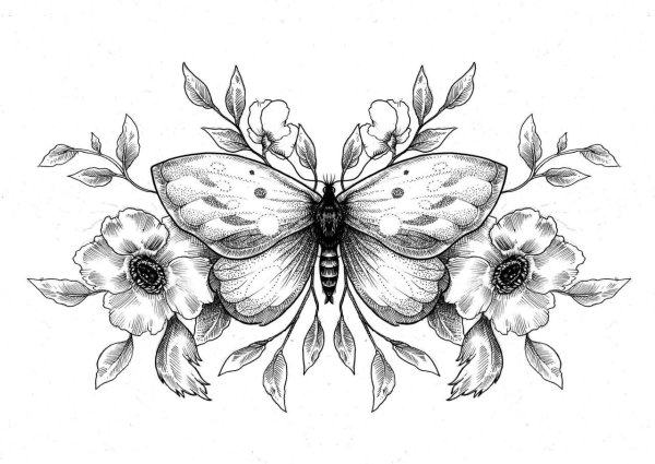 Бабочки на цветах рисунки