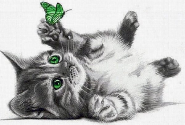 Котенок рисунок