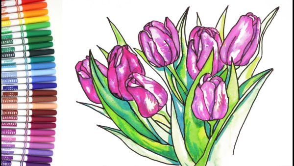 Тюльпаны фломастерами