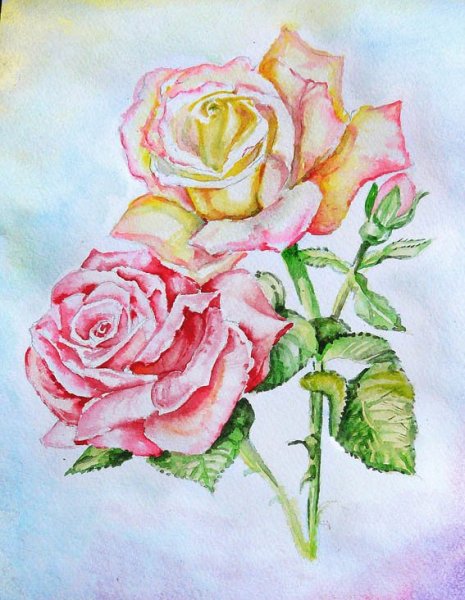 Розы рисунок красками