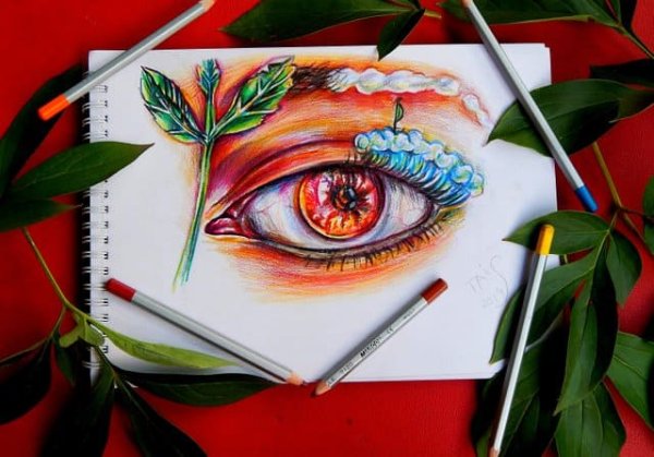 Идеи для начинающих художников