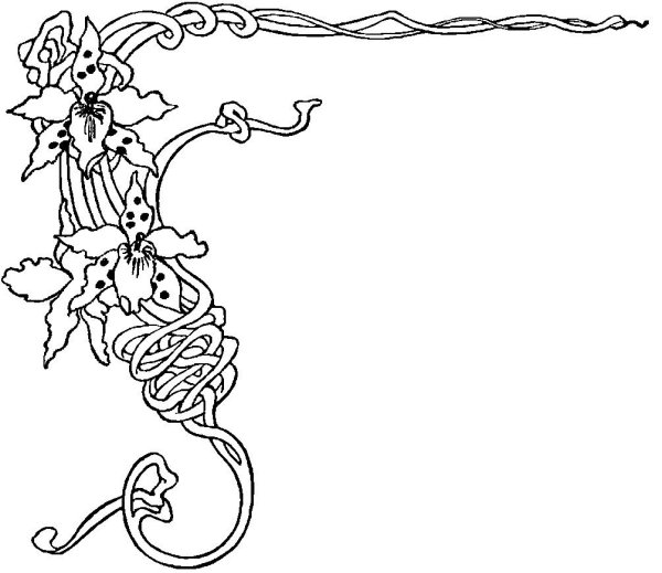 Красивый лист для текста